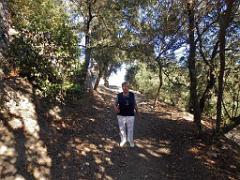 183 HYERES ET SES PALMIERS D03_000015